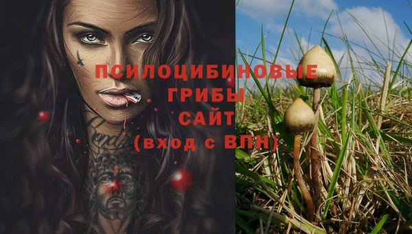 PSILOCYBIN Арсеньев